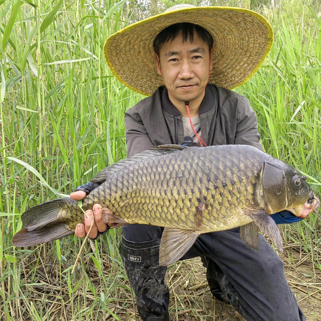 庞哥游钓