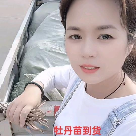 不要在拼博的年纪选择安逸