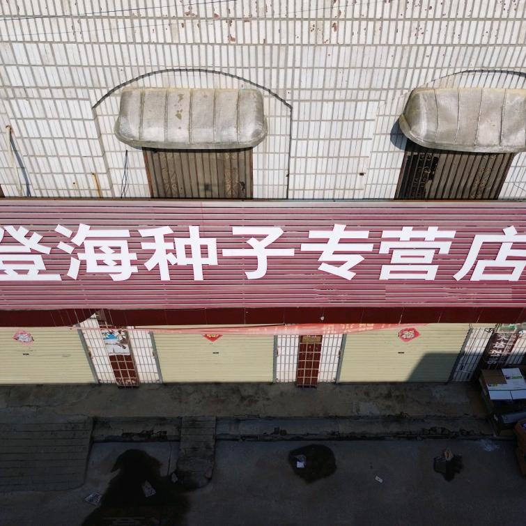 登海种子经营部