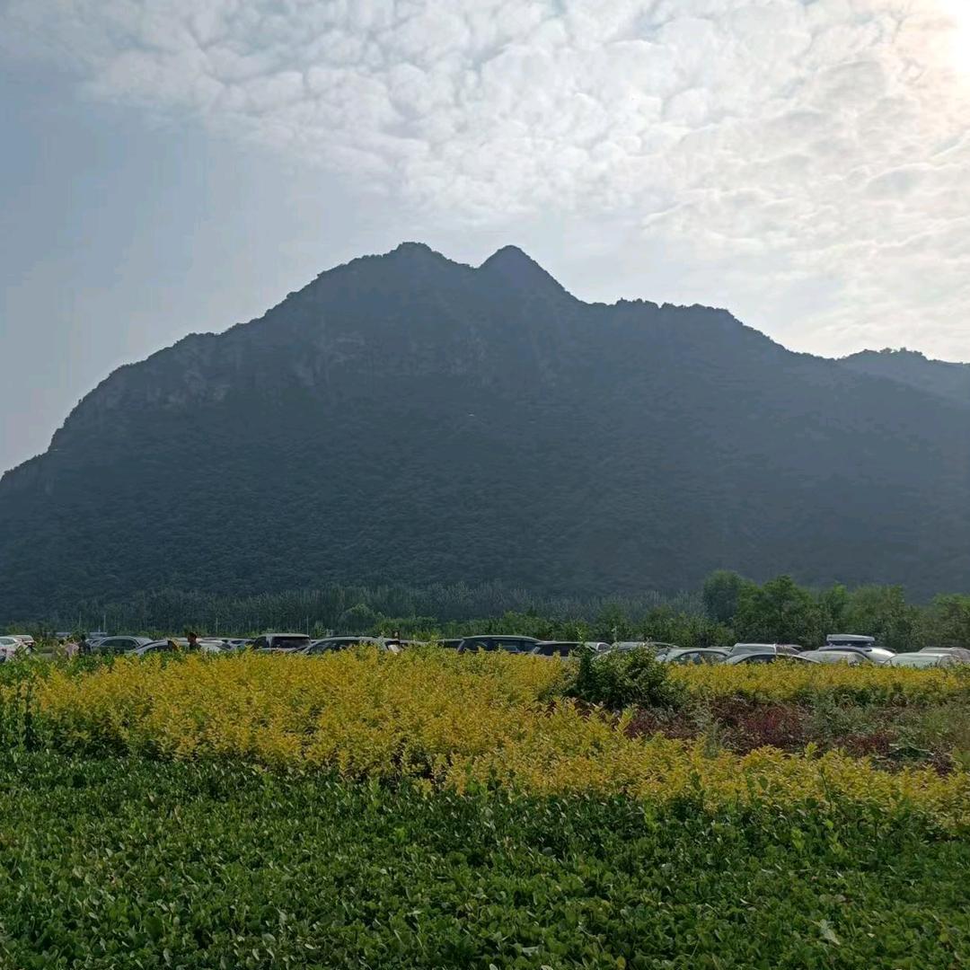 飞哥学剪辑