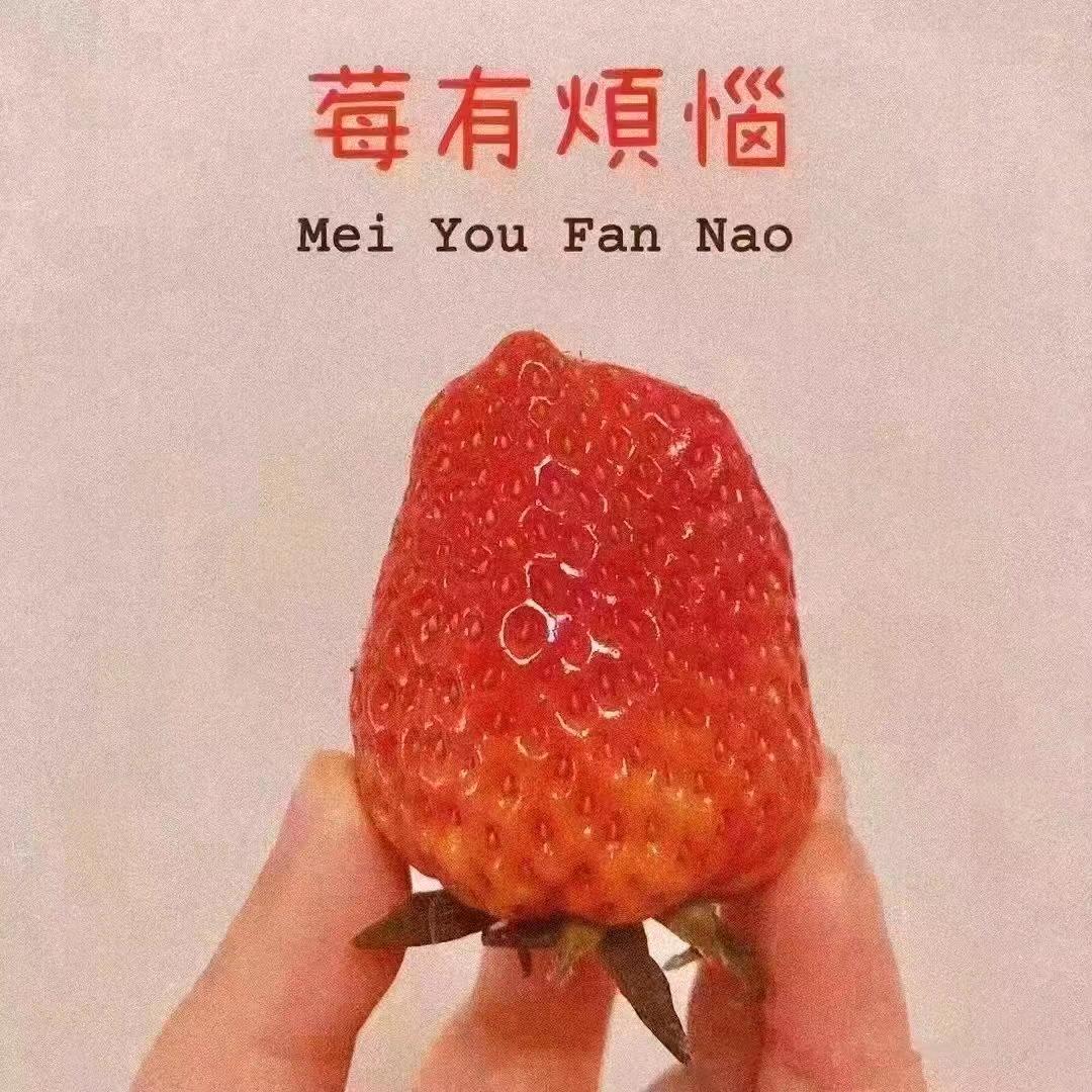 🍓莓烦恼🍓