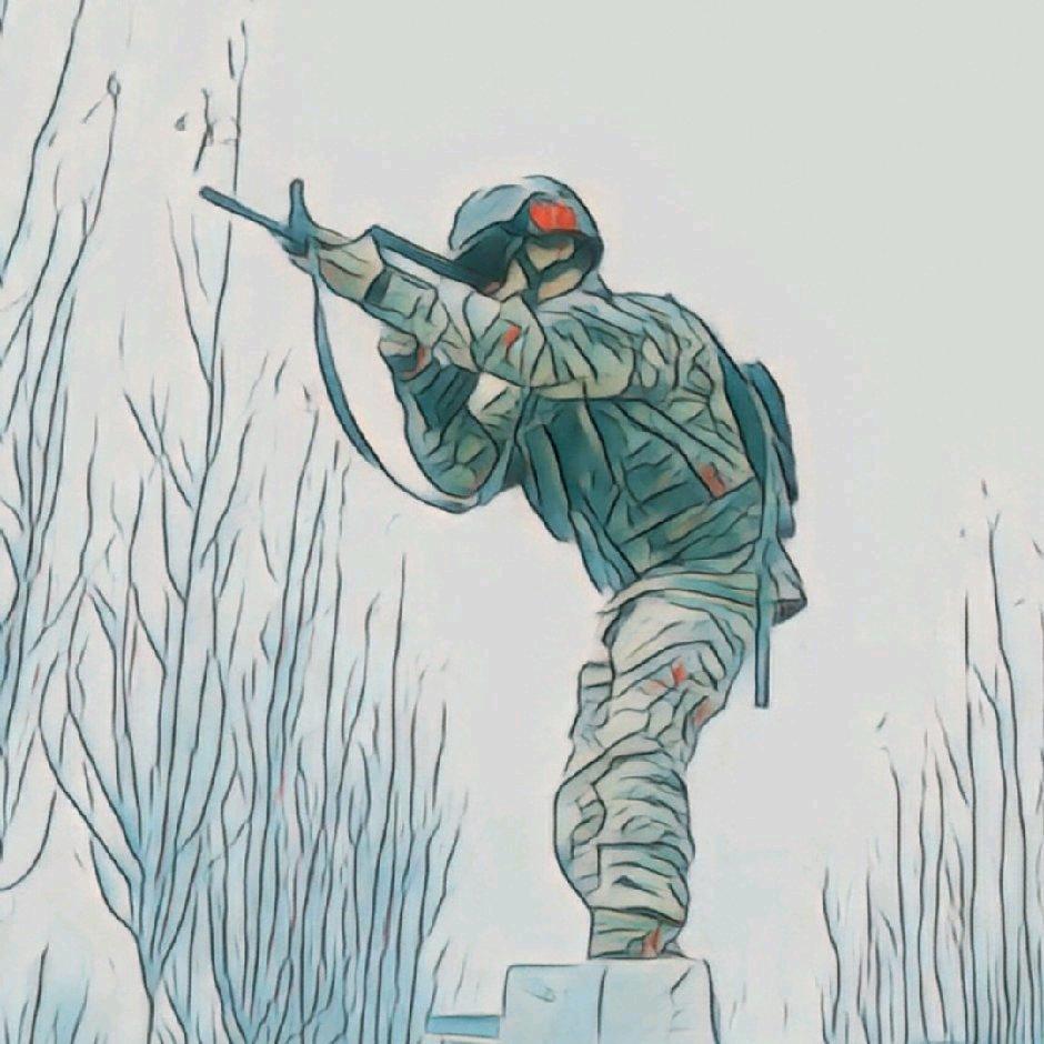 柳白杨