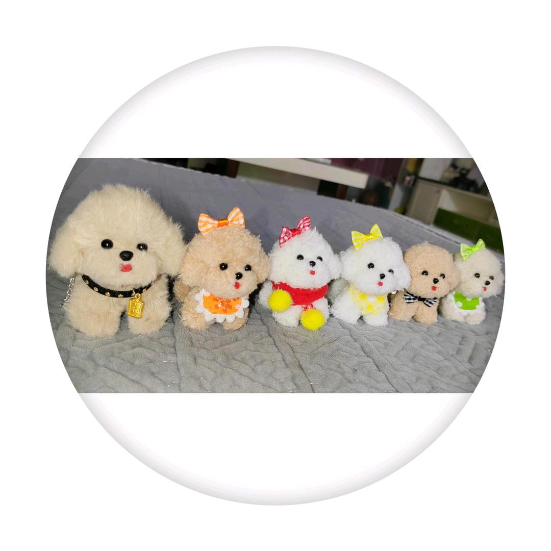 🌷静待花开🌷