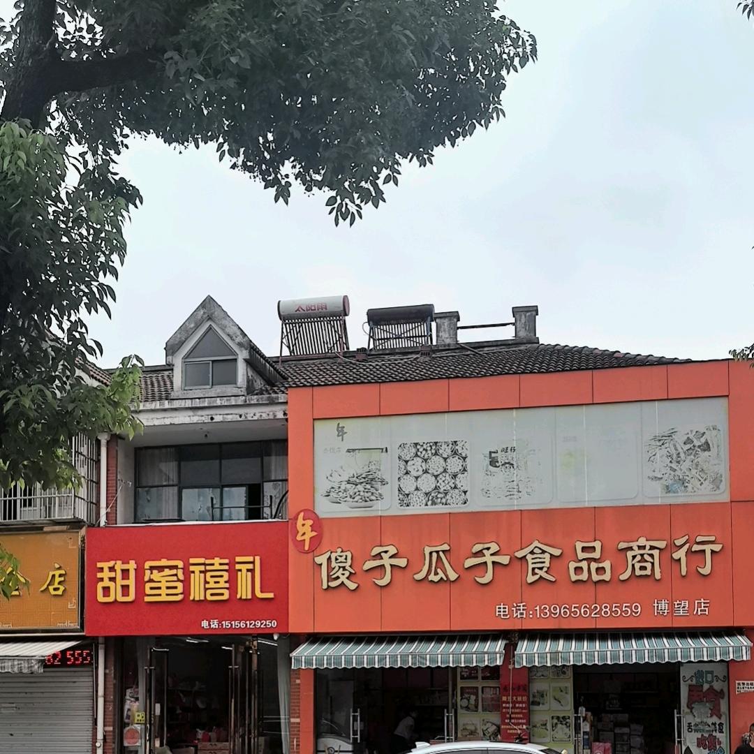 傻子瓜子食品商行