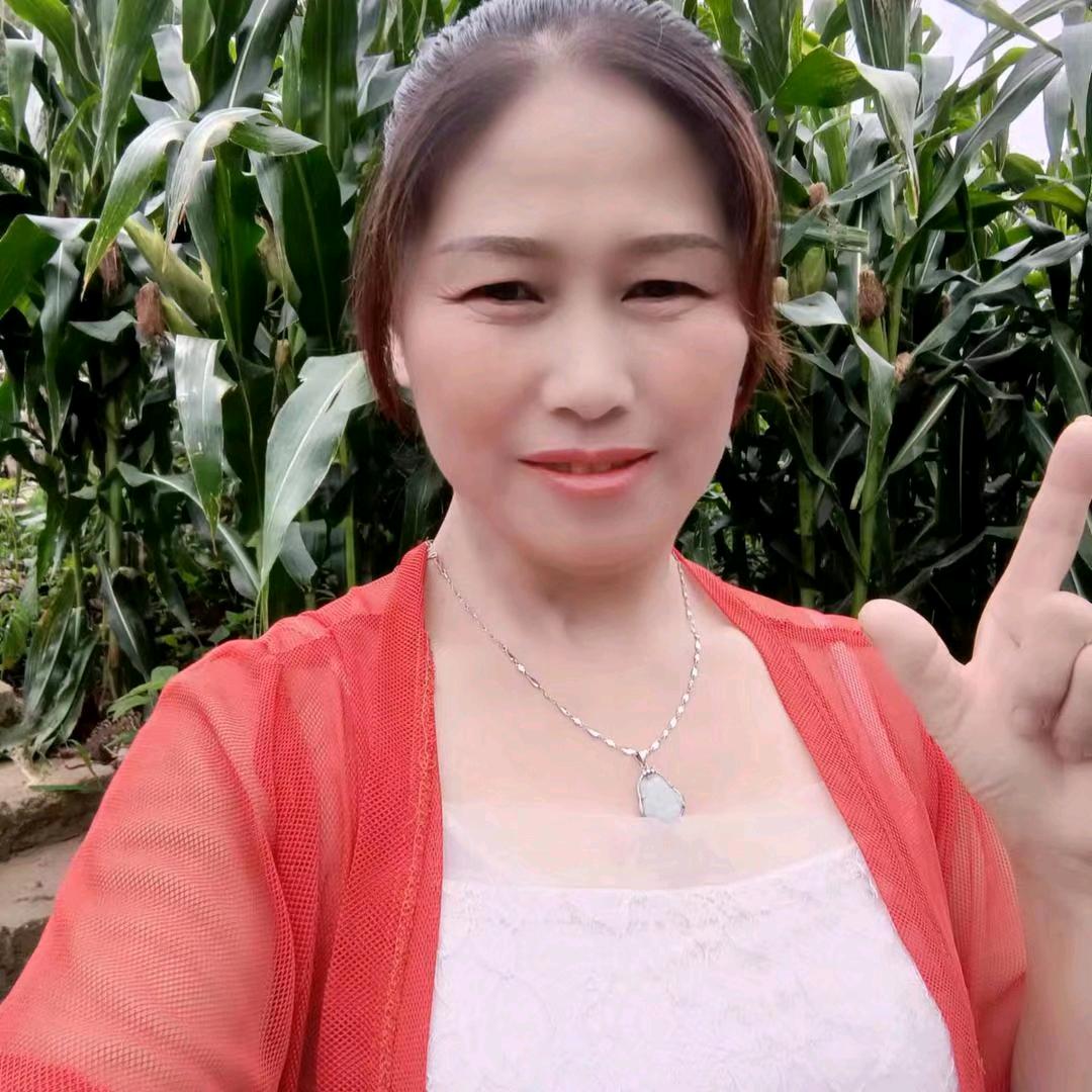 红叶妹2号
