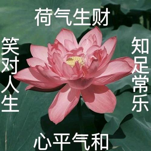 木材批发李总