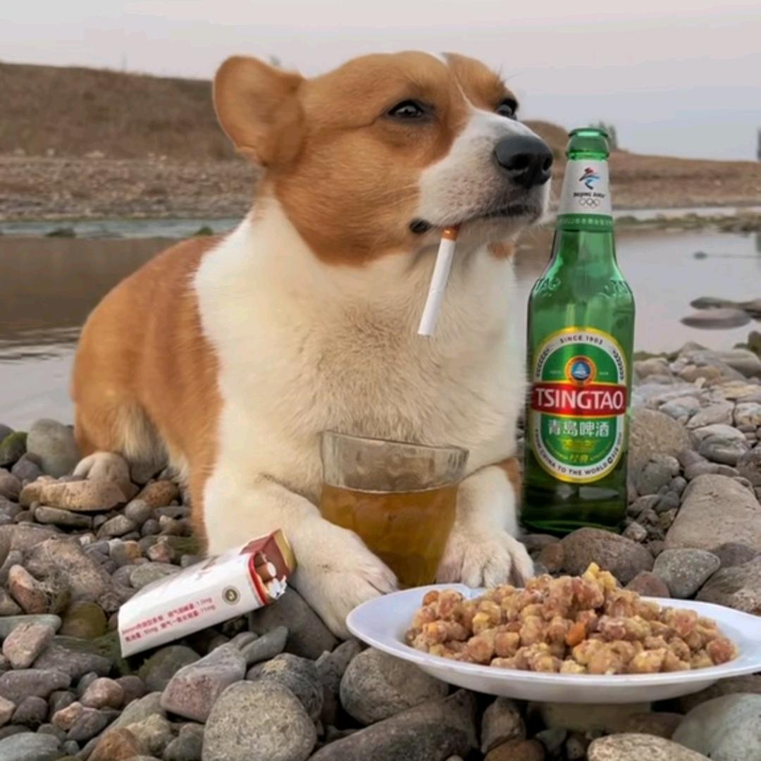 古德