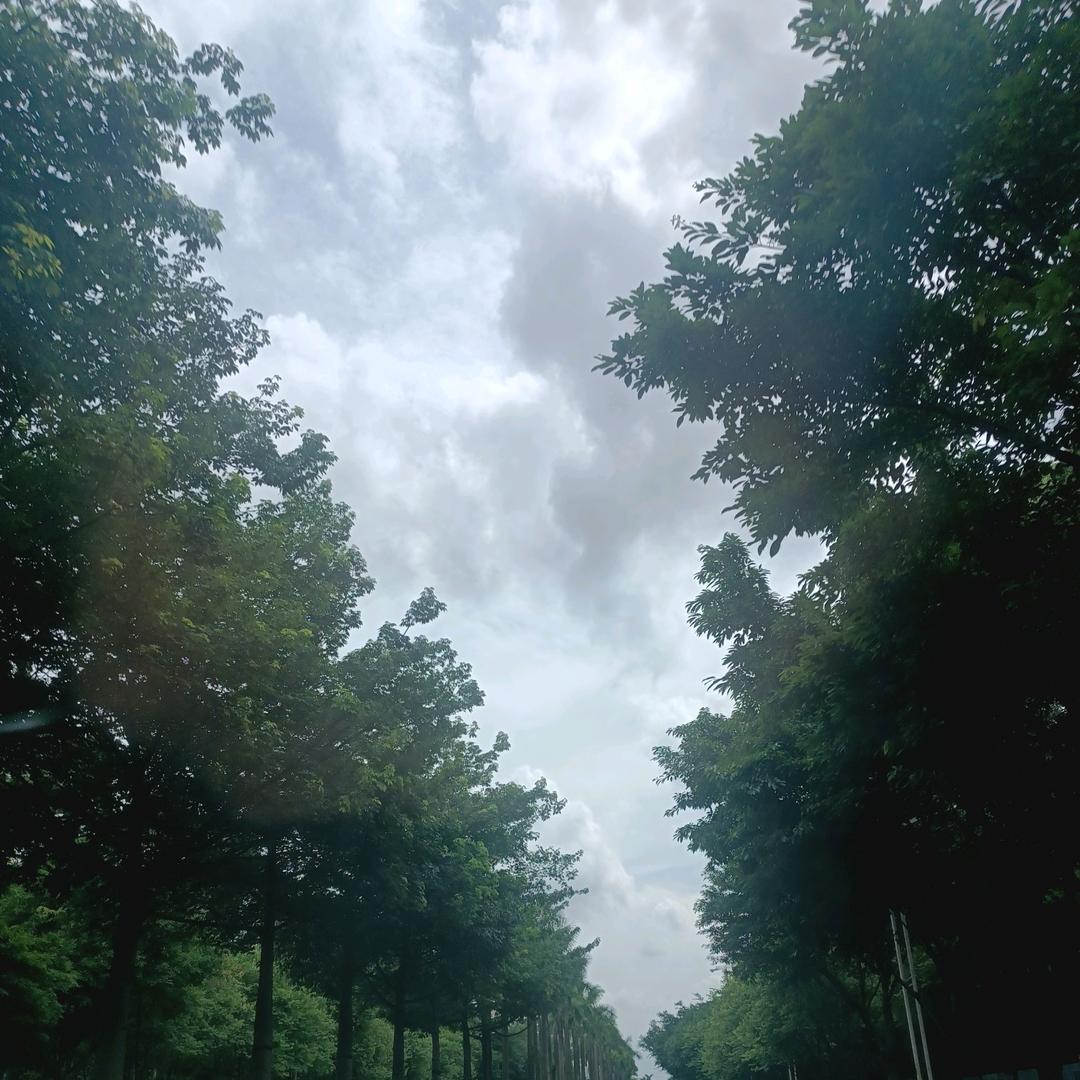 YN