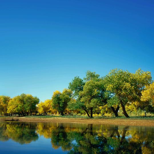 南京互航信息科技