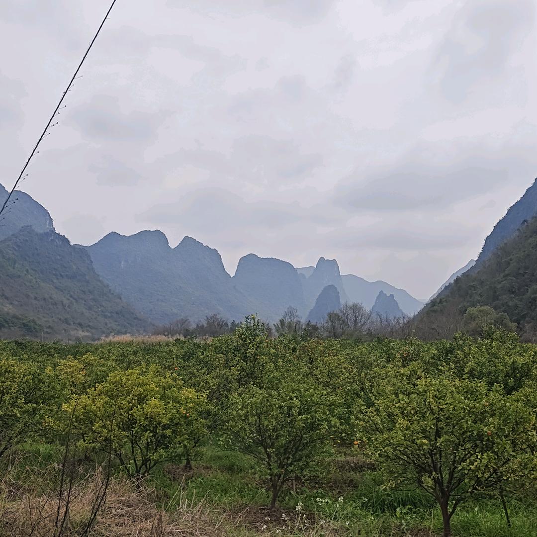 美美宠物之家