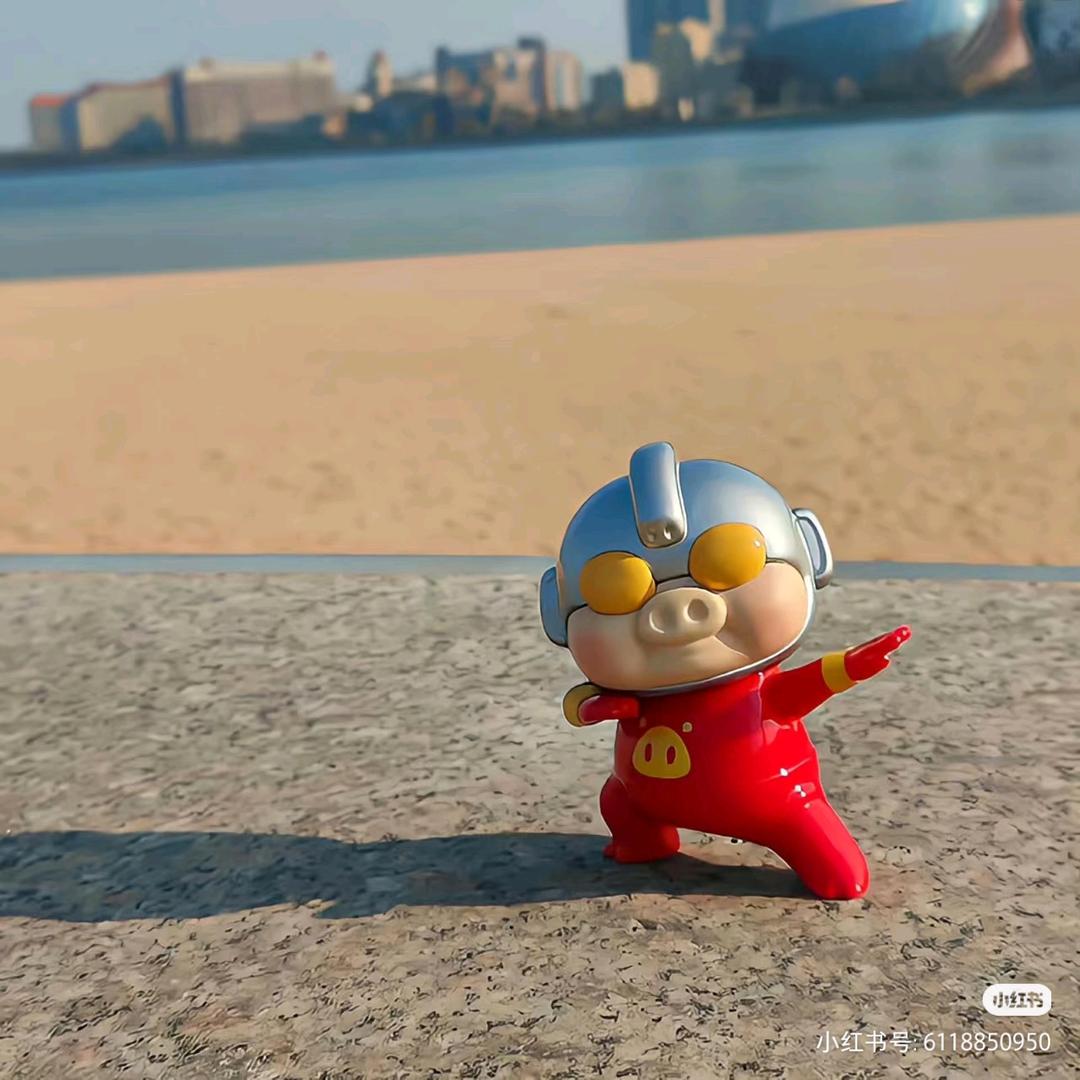 阿🐷叔叔的朋友圈