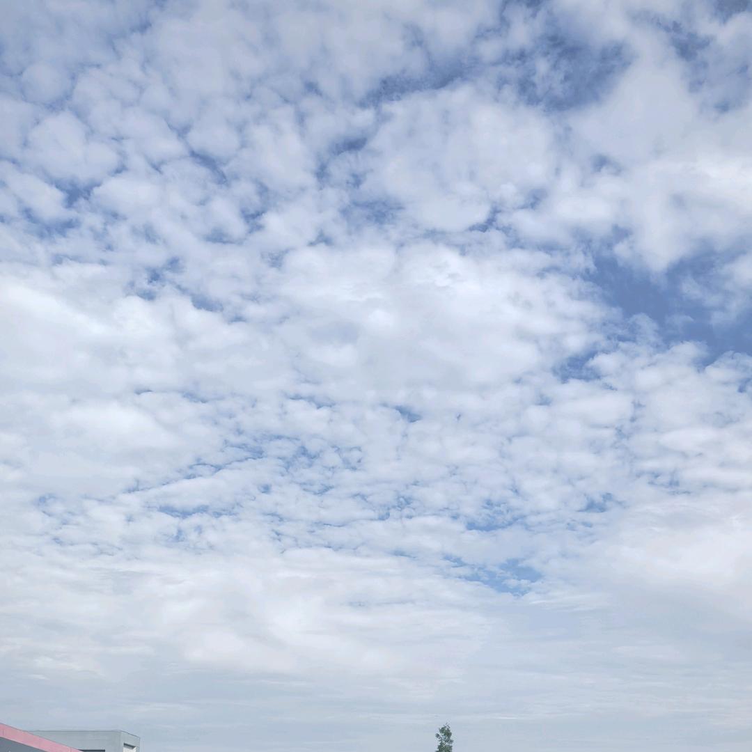 团团圆子（⭐）