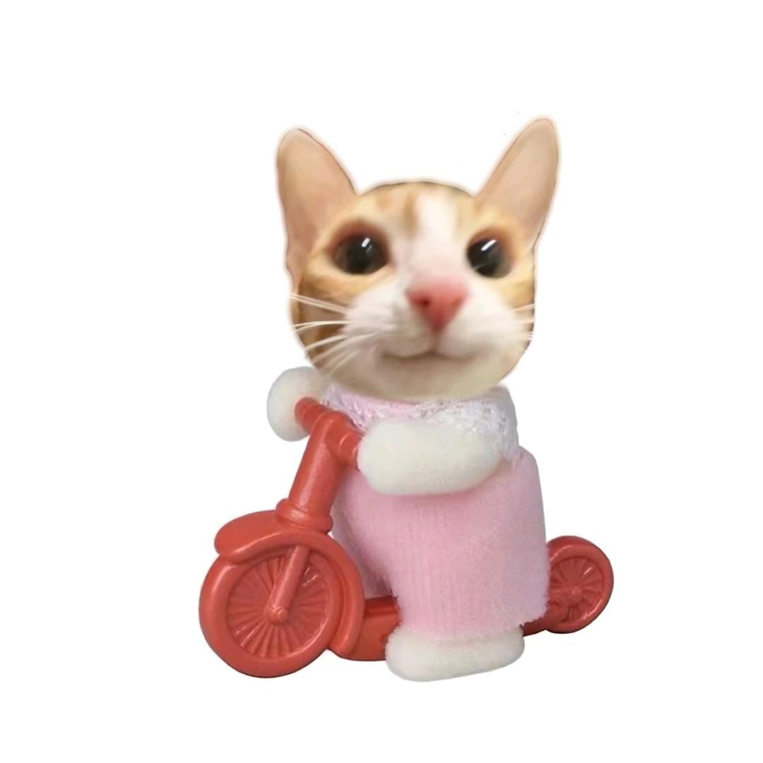 我拿大锅酷酷敲