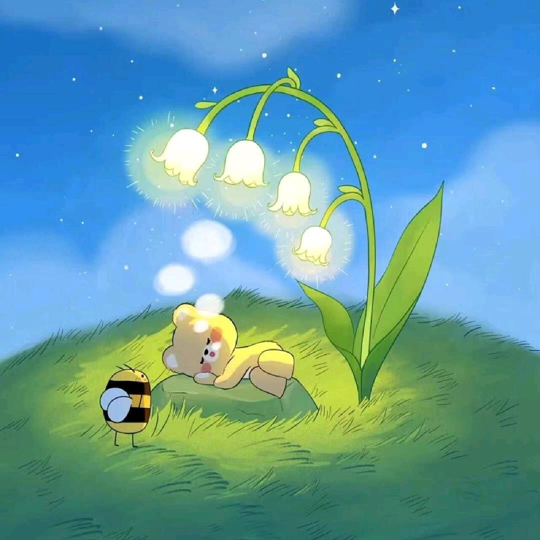 石头爸爸✨