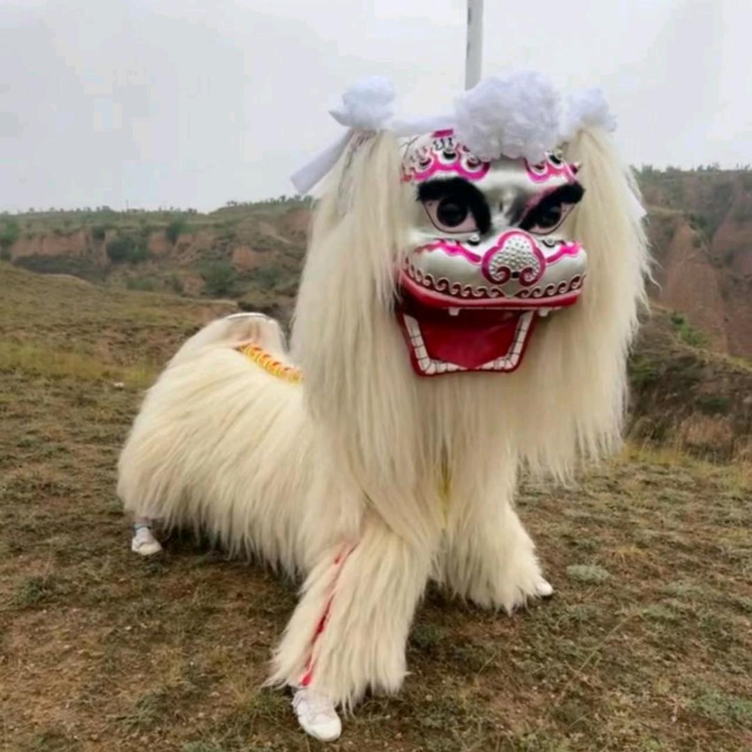 河南网红小白狮醉狮（团长）