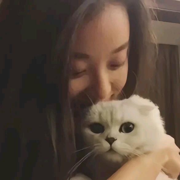 兑.