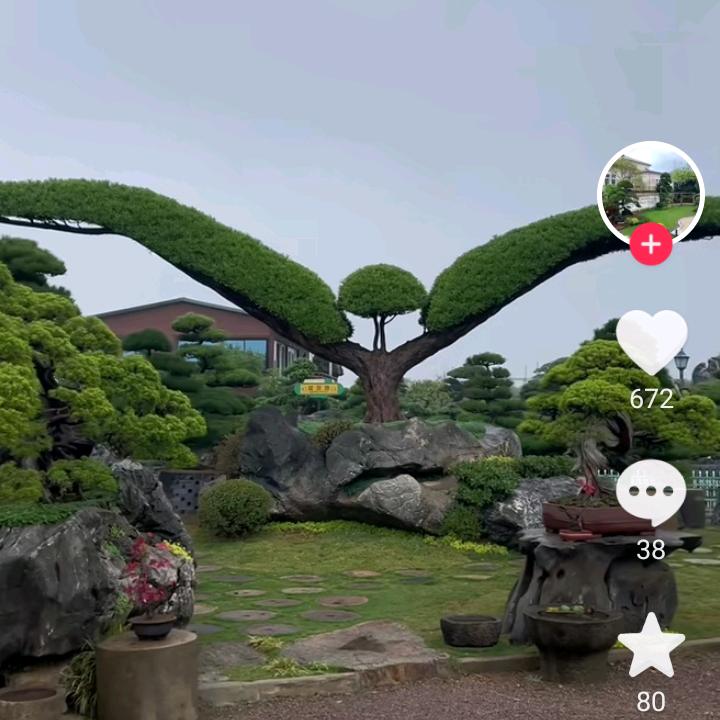 杨道义