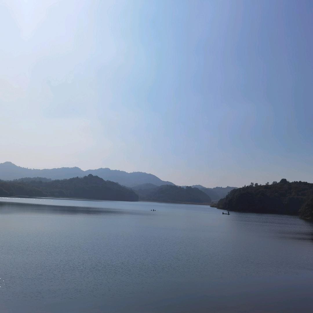 凯凯900头像