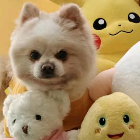 独自一人