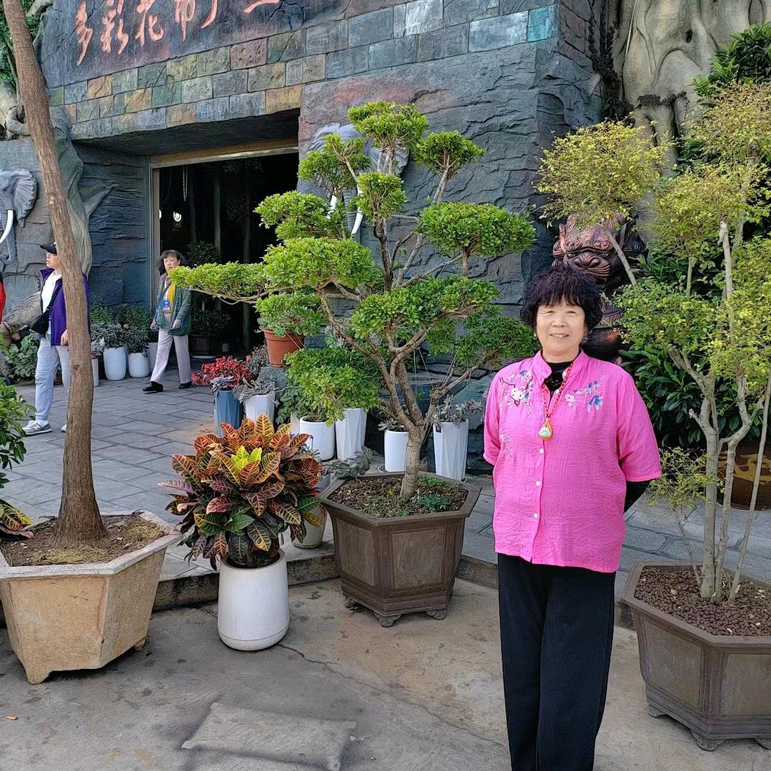 杨香香