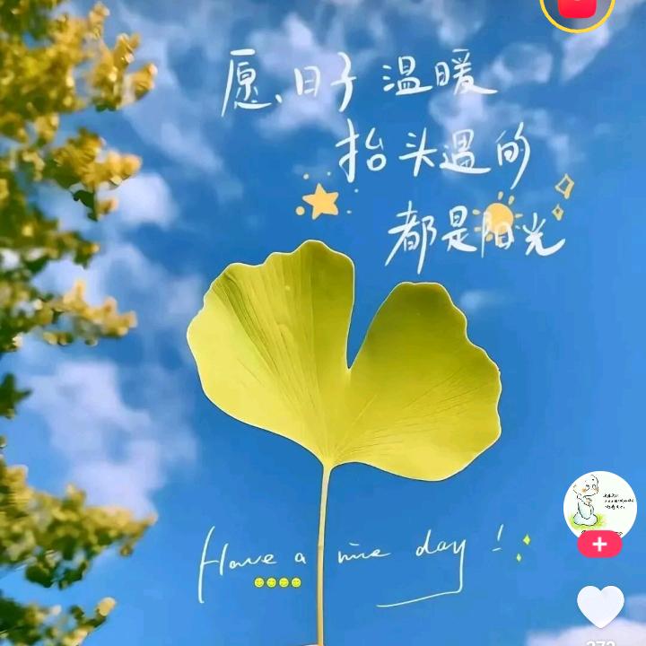 こん ✿(幸运)✿