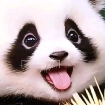 孤舟独钓
