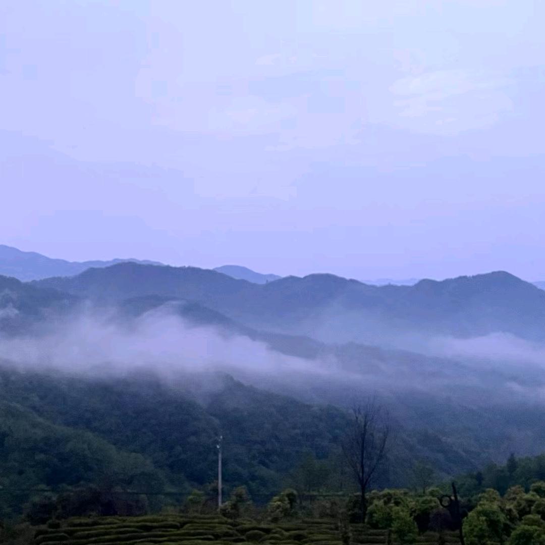 那山，那水，那草