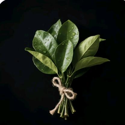 Davi黛薇艺术摄影📷杨洋