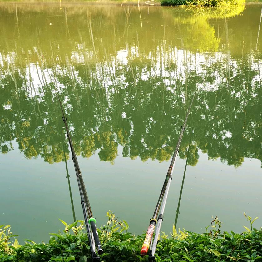 阿星🌹🌹🚩🚩