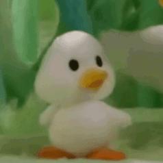 绵绵.