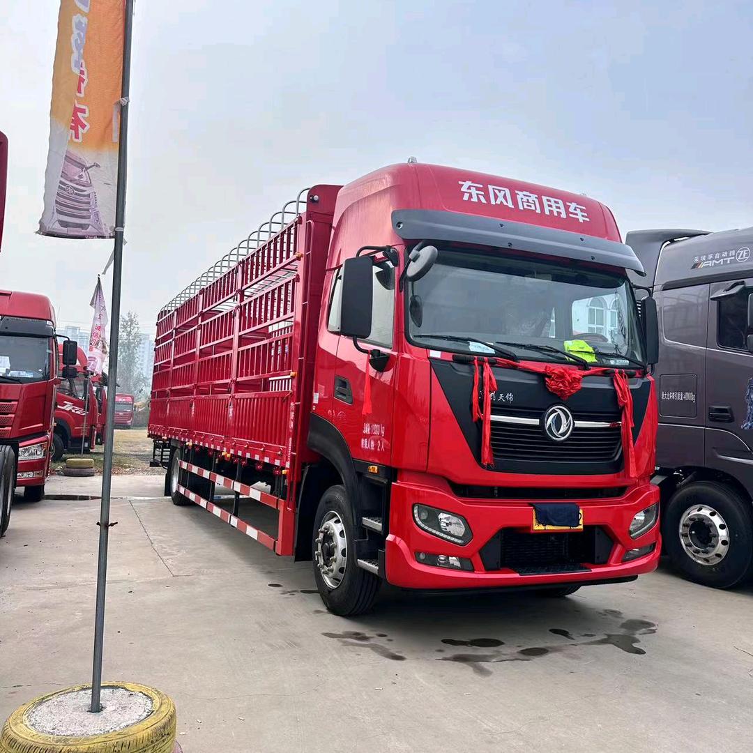 卡车（流浪的乞行者）  9米6高栏