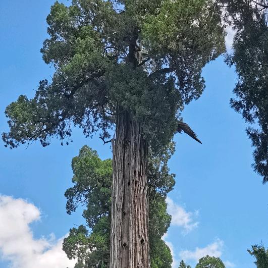 王姐家的杂货铺