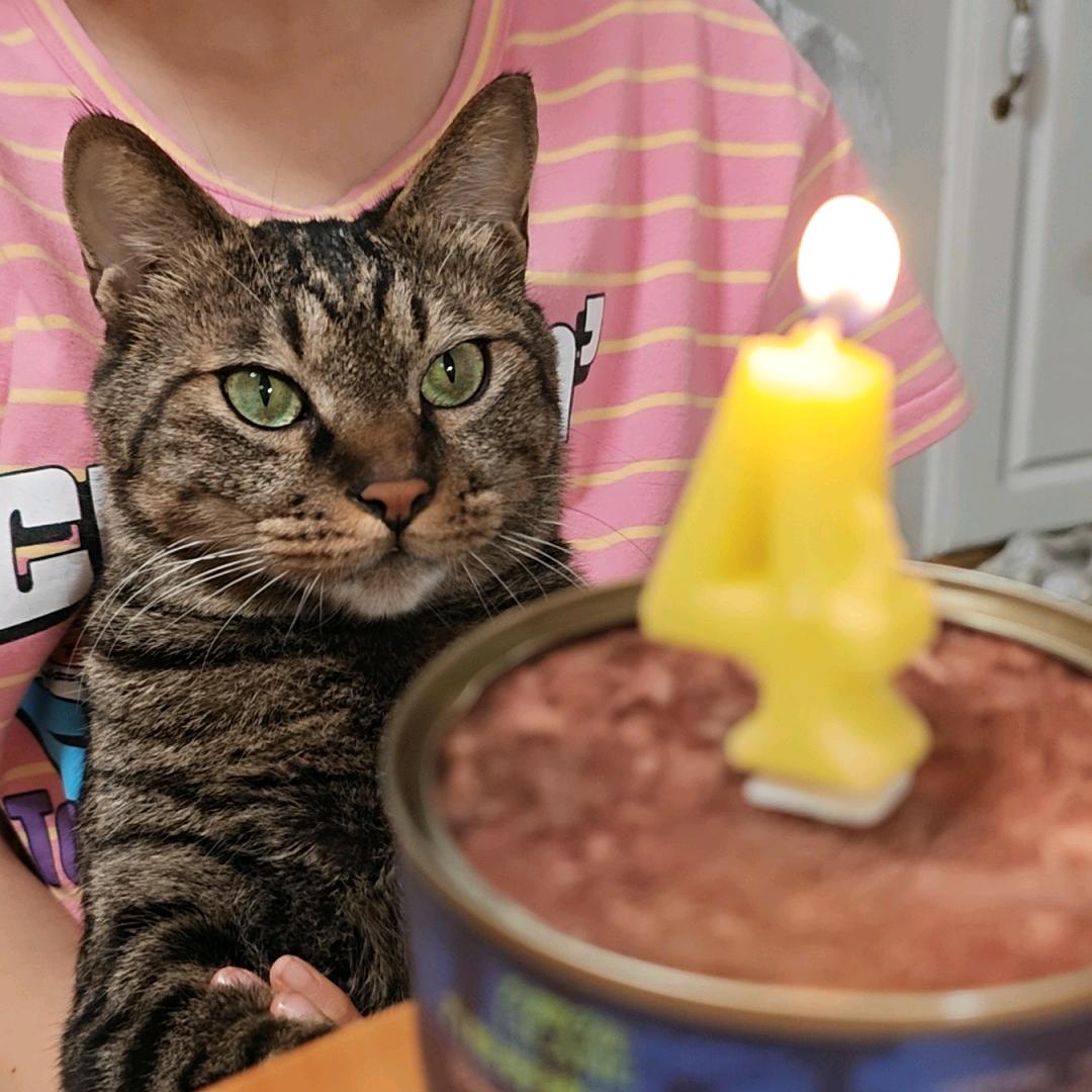 刘乖乖与汪当当