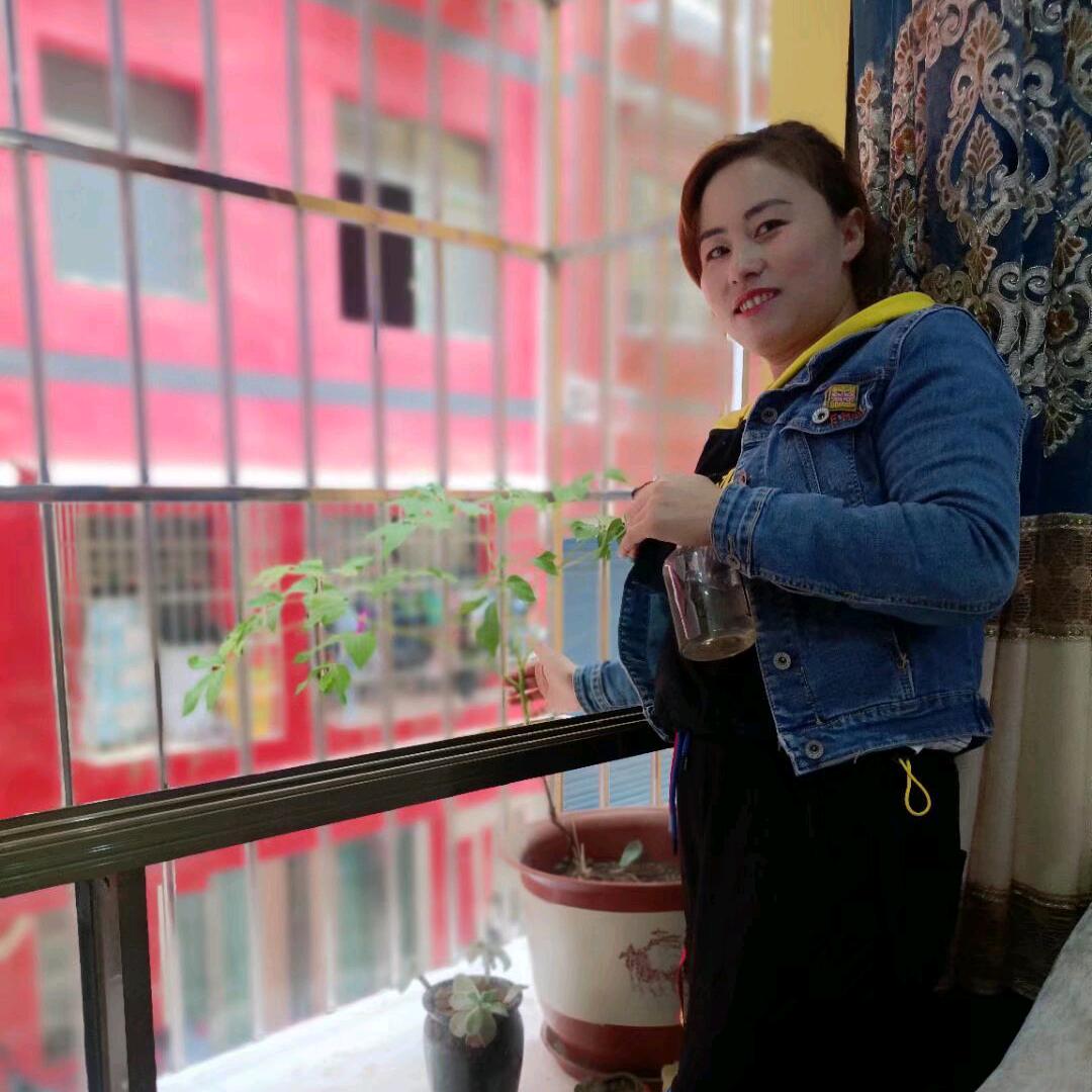 平淡的幸福