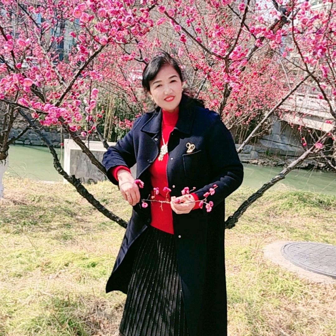 段大姐