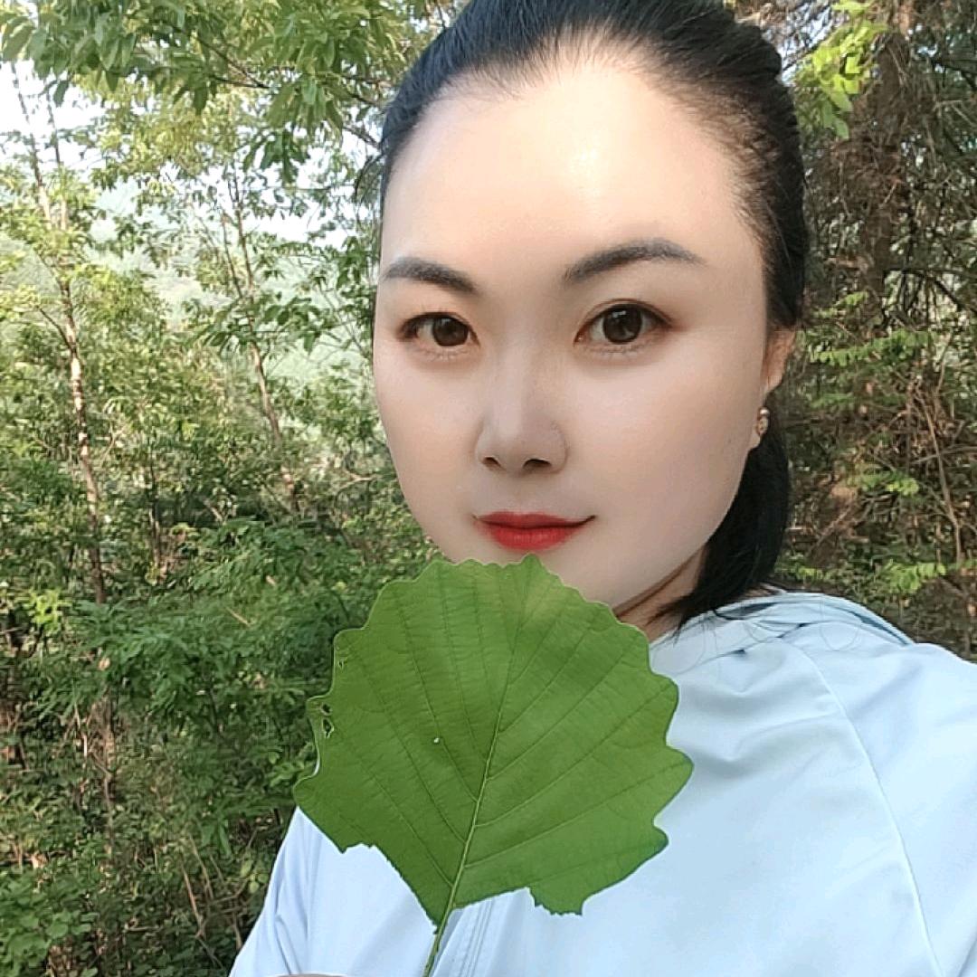 柞水慧慧