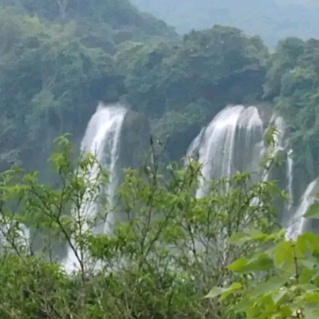 只想开心过好每一天！