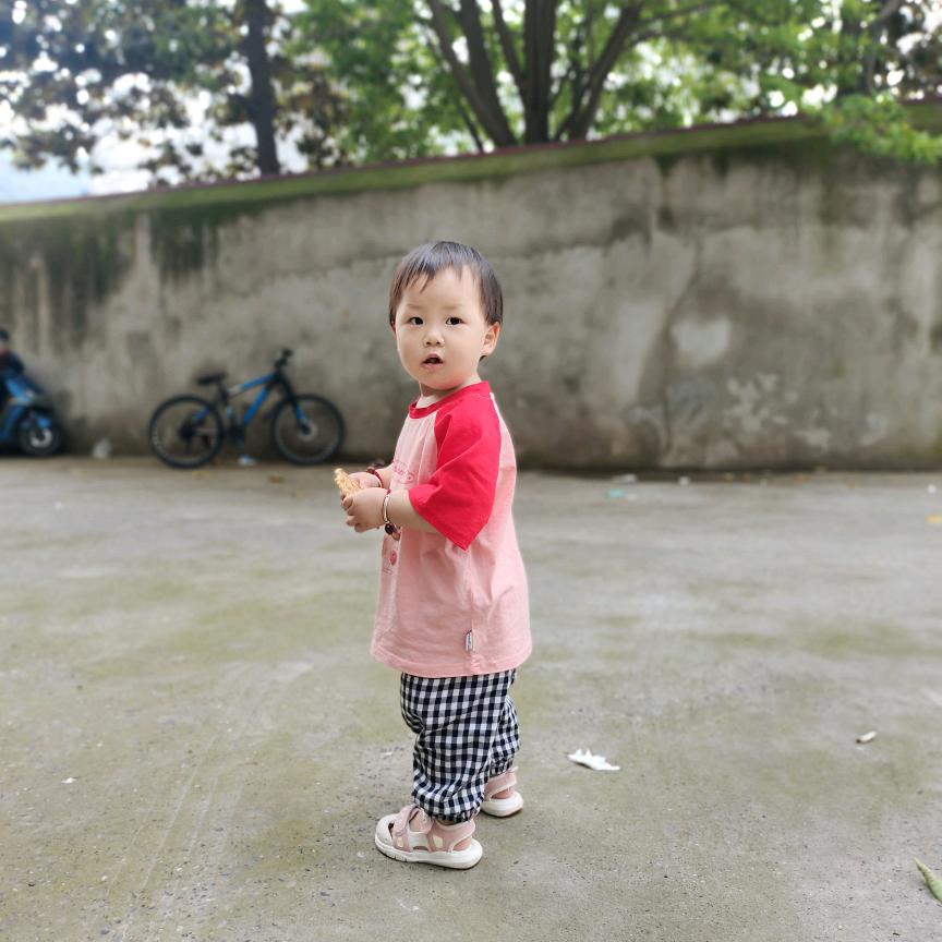 十一宝贝