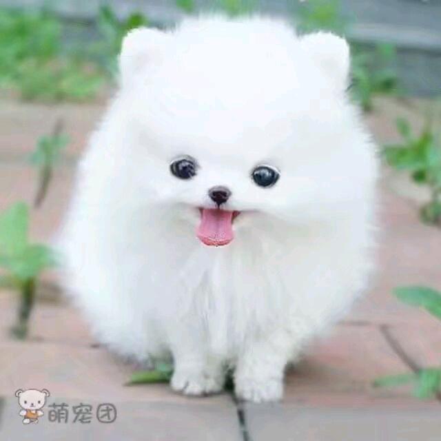 回忆往昔