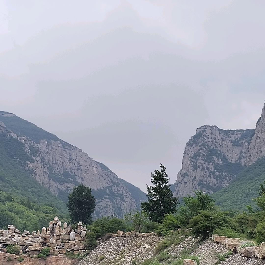 齐王的安可欣头像