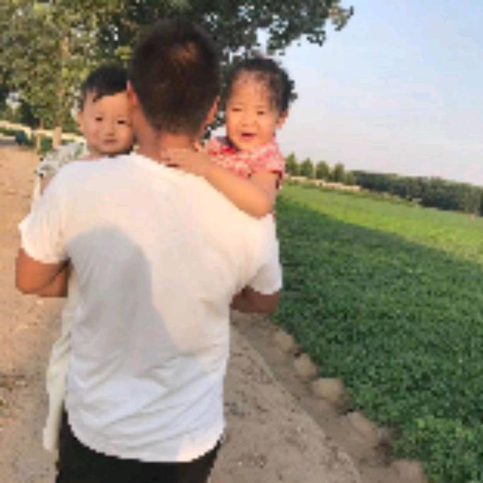 大兴，山药种植。