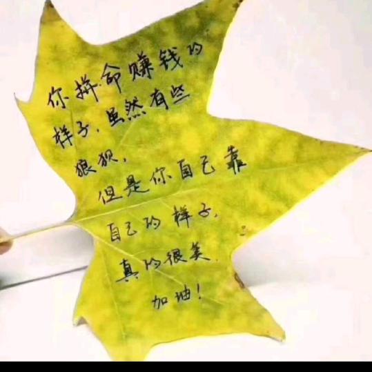凨318