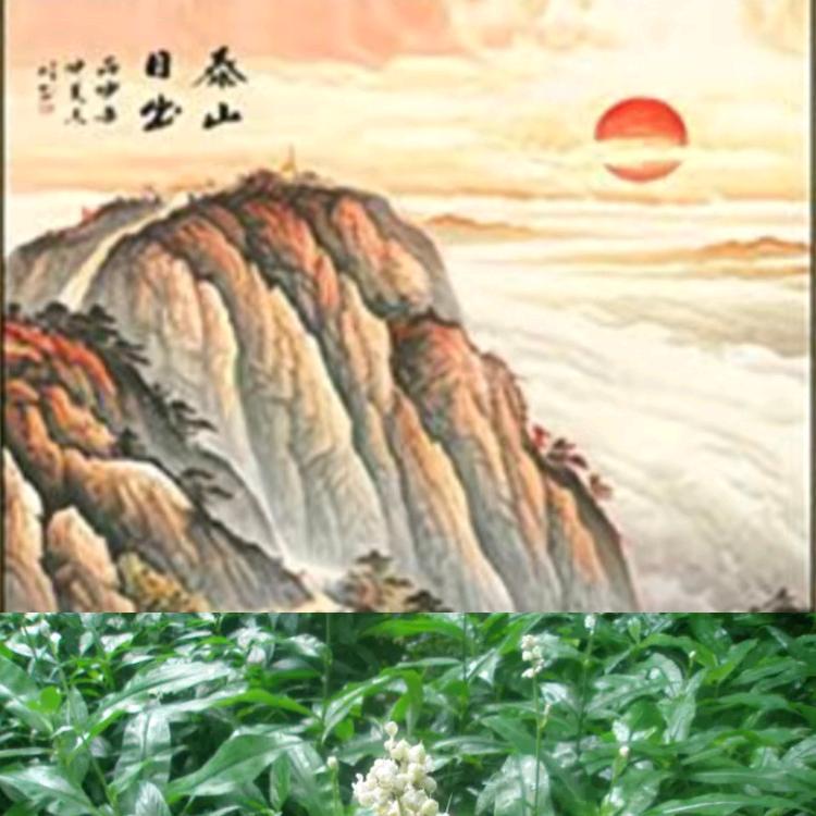 @杜若🍀☀️☀️☀️