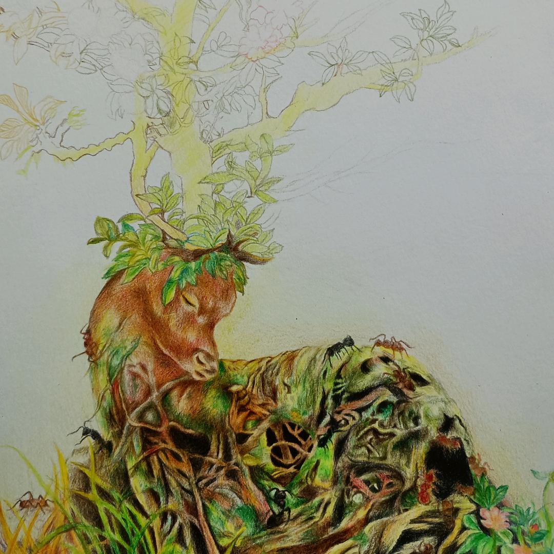 珊珊来迟🇨🇳