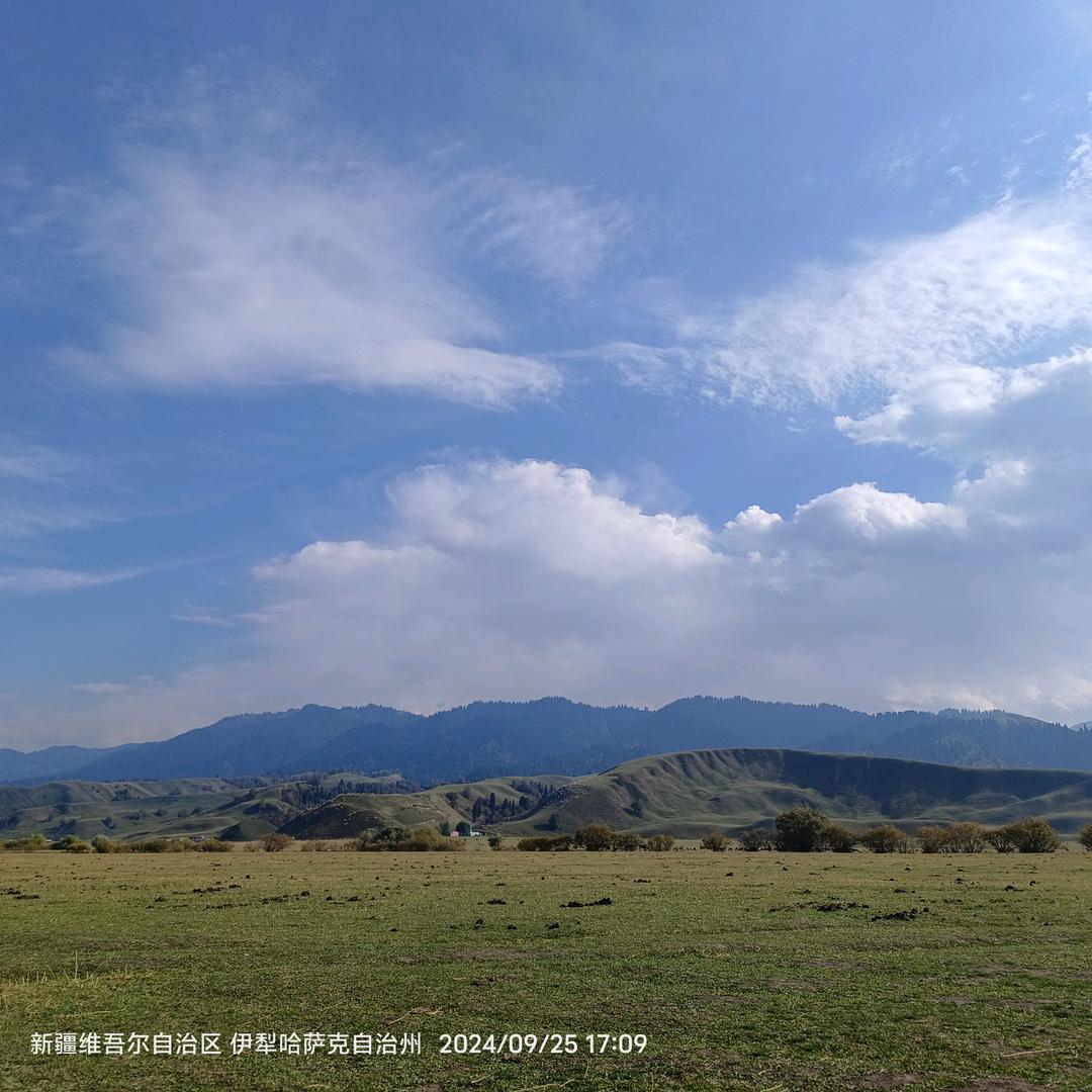 自由飞翔