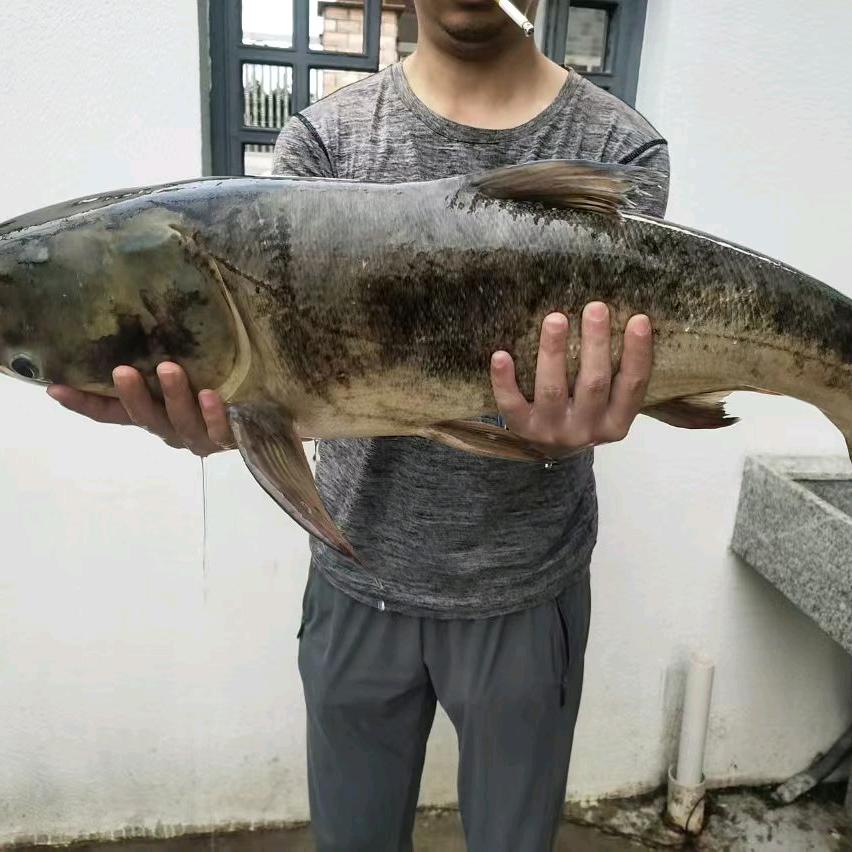 一生平安