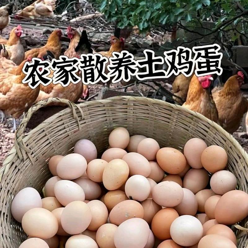 九华山土鸡蛋小王