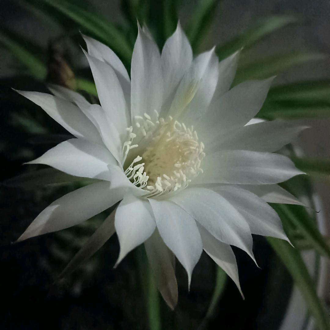 一缕阳光