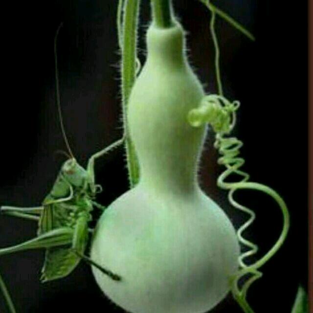 信念永恒