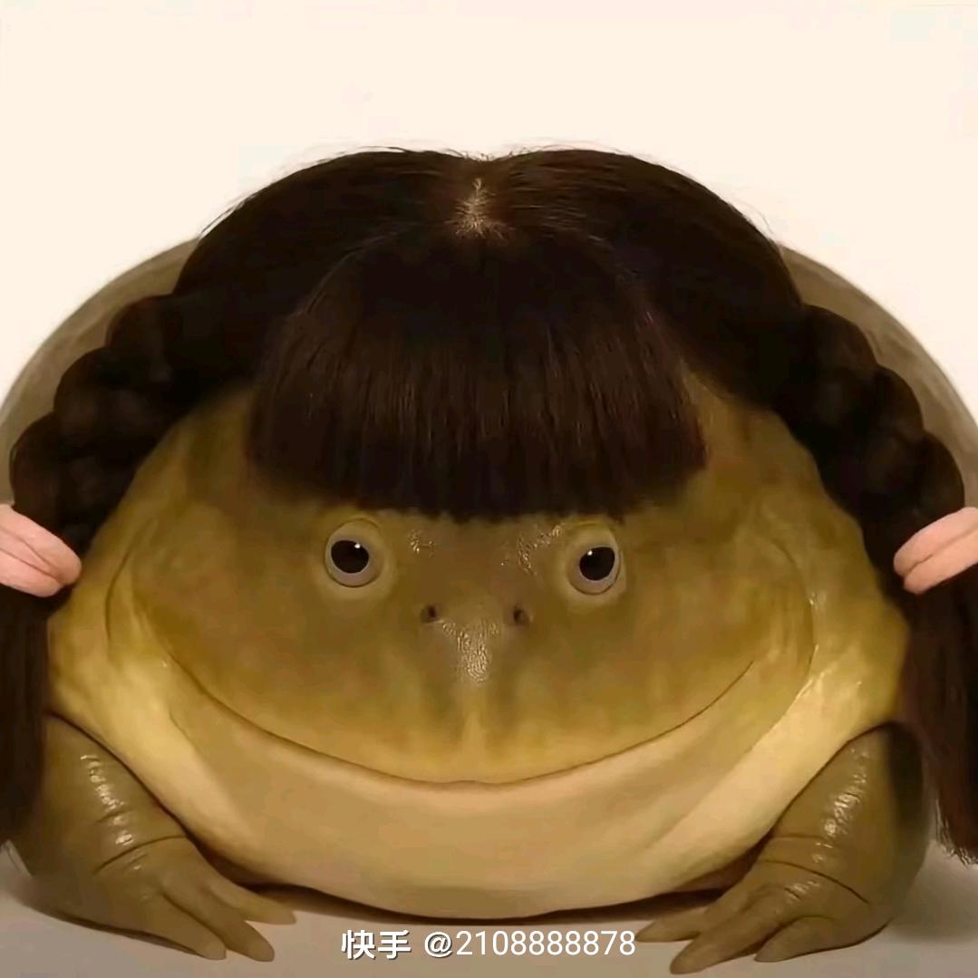 乐在沟通小石头
